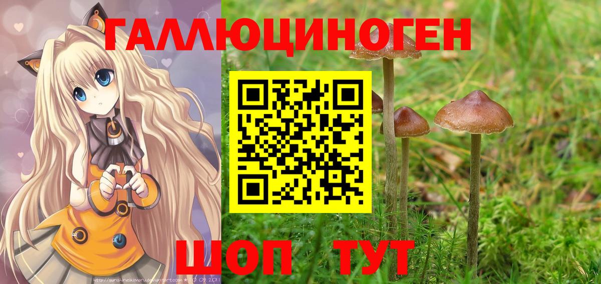 Псилоцибиновые грибы мицелий Казань