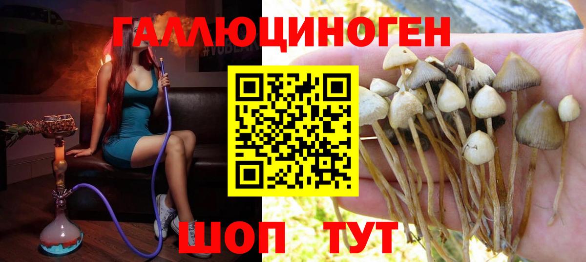 Казань  Псилоцибиновые грибы ЛСД  Вход с VPN 
